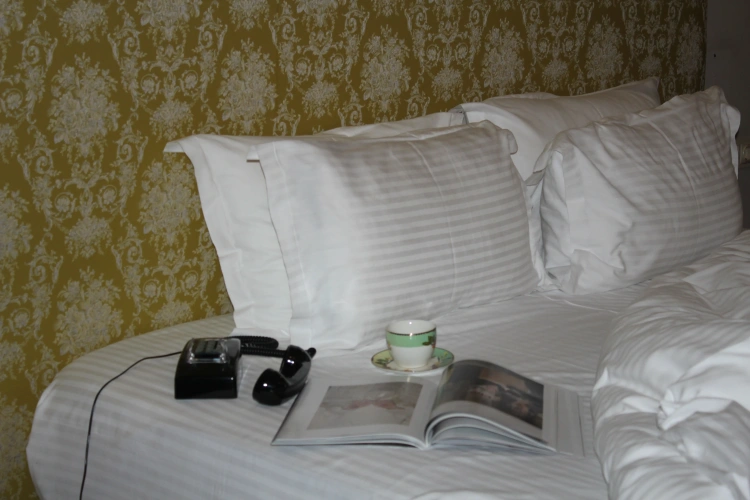 Standard Double room with river view