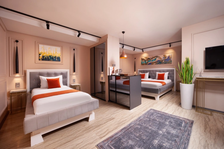 Deluxe Suite with city view
