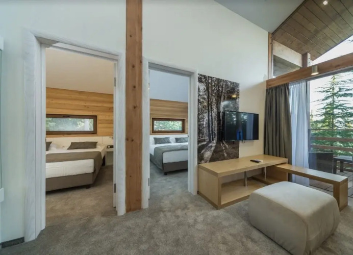 Фотография номера гостиницы Поляна Сказок