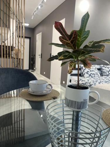 1 Bedroom Apartment with balcony and with view