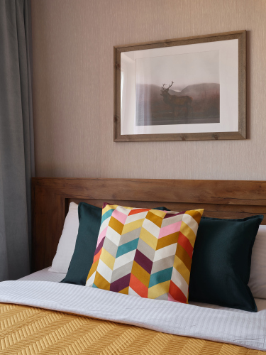 Фотография номера квартиры Апартаменты Forest