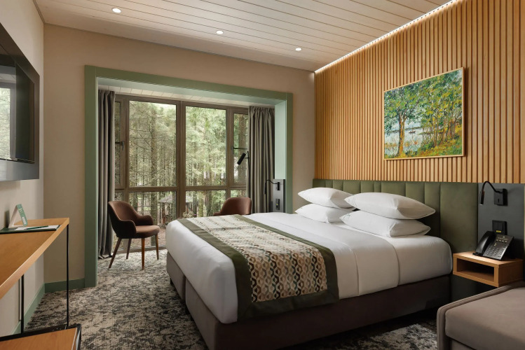 Фотография номера гостиницы Отель и Коттеджи Истра Holiday