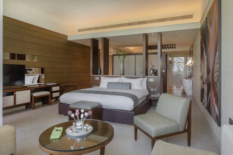 Melia Desert Palm Member Of Melia Collection photo 12