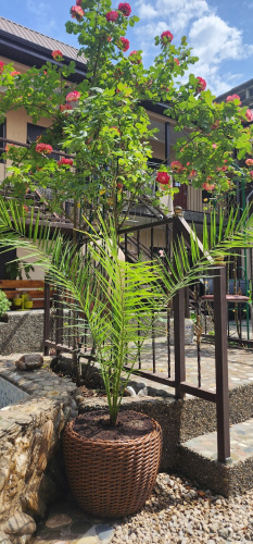 Barbaris Mini hotel