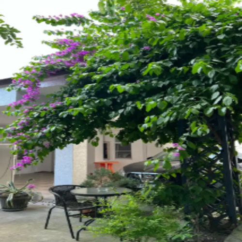 Hotel Kozata