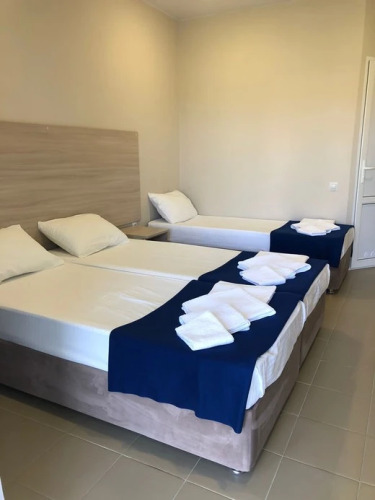 Фотография номера гостиницы Дельфин