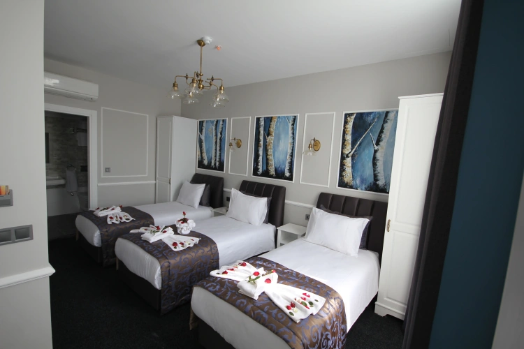 Standard Triple room