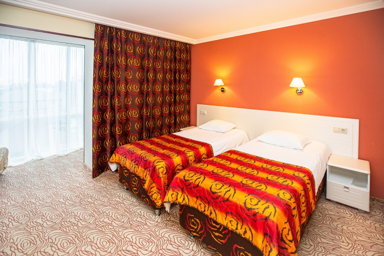 Standard Double room with balcony and with mountain view