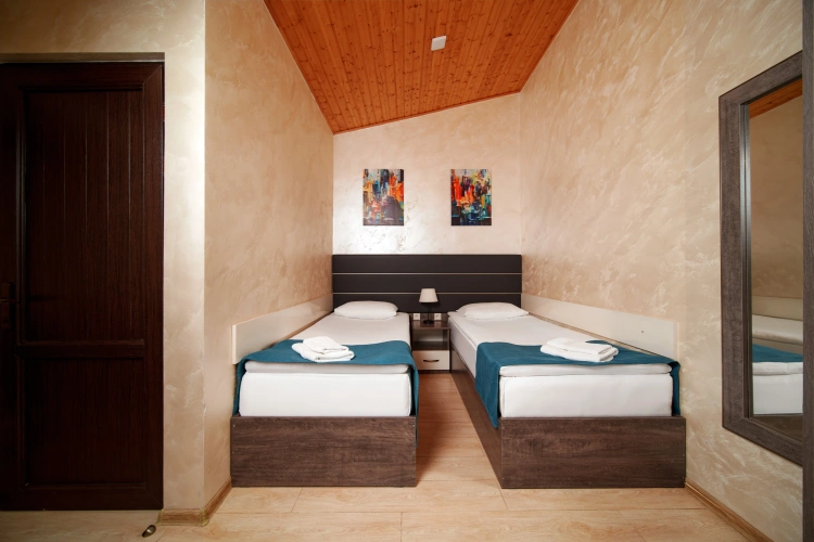 Standard Double room with balcony and with view