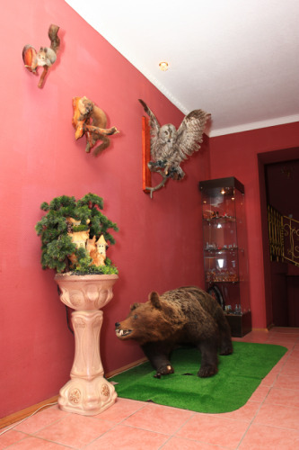 Изображение 1