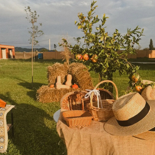 Burki Castle & Cellar Hotel