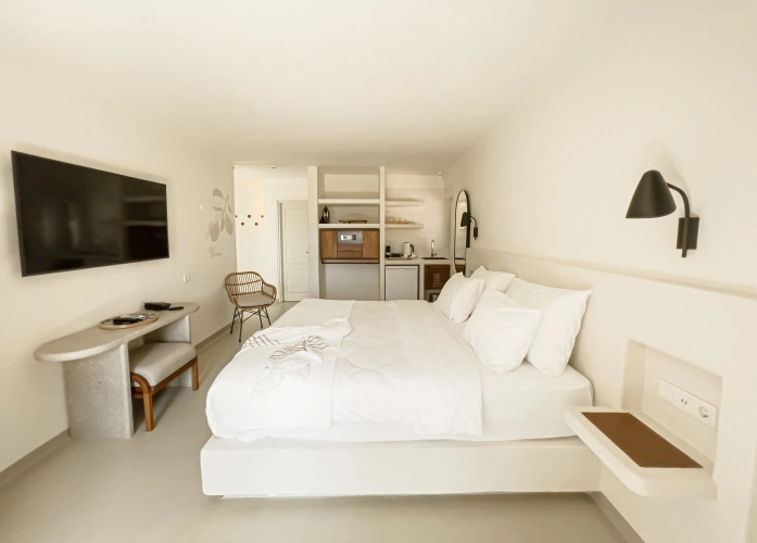 Double Studio with garden view