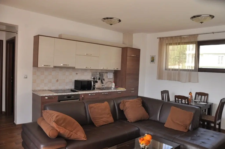 1 Bedroom Apartment with balcony and with view