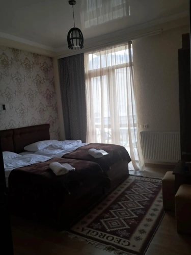 Standard Double room with balcony and with mountain view