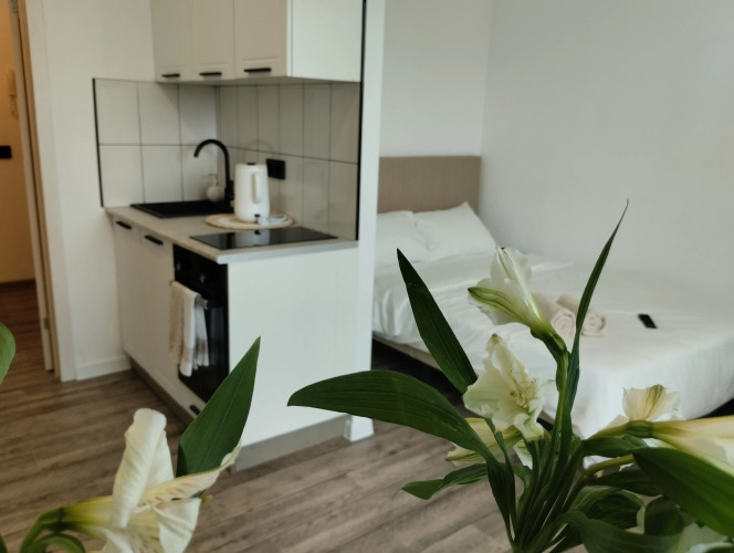 Фотография номера квартиры Квартира студия на Генерала Мартынова 2