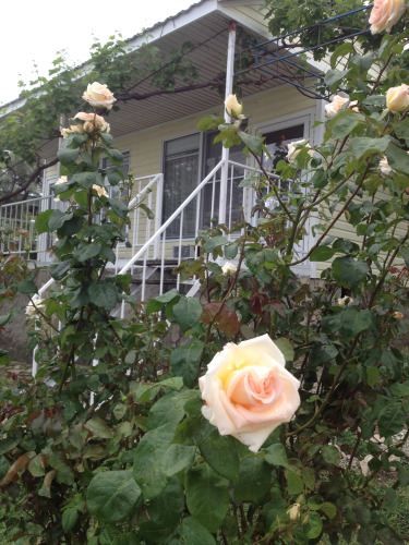 Фотография номера базы отдыха Бухта