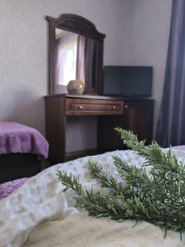 Фотография номера мини отеля Олимпия