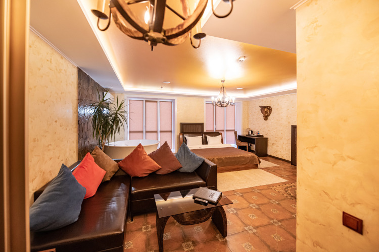 Фотография номера гостиницы Пилот