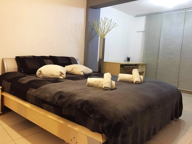 1 Bedroom Apartment with balcony and with view