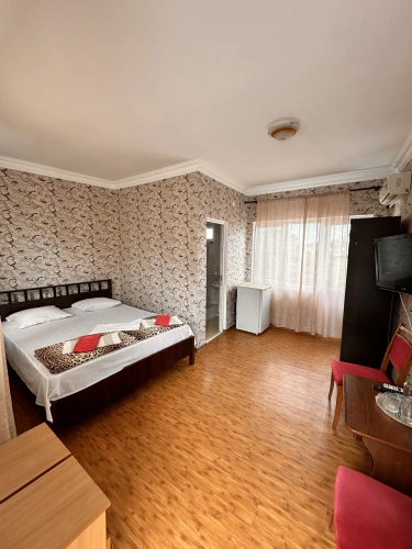 Standard Double room with balcony and with view