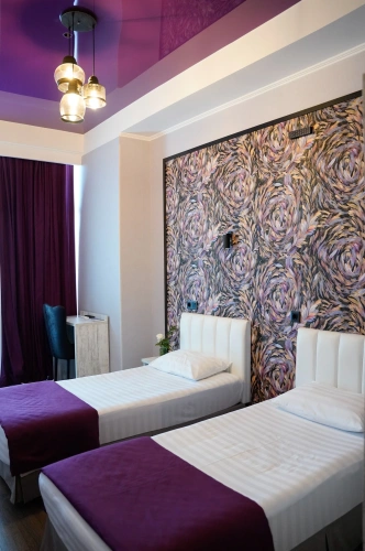 Standard Twin room with balcony and with view