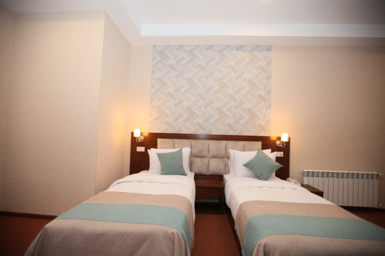 Standard Twin room with balcony and with city view