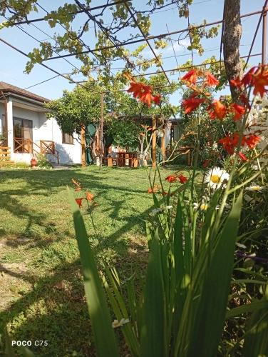 1 Bedroom Double Apartment with balcony