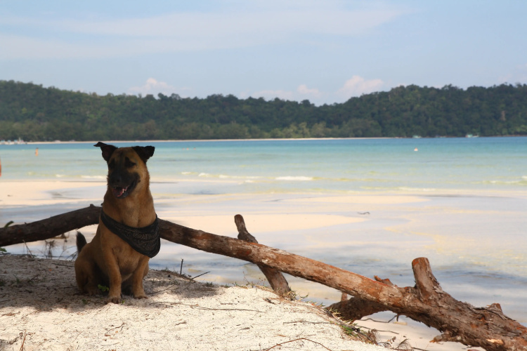 CoCo Boutique Resort
