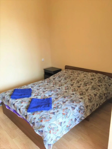 Standard Double room with balcony and with view
