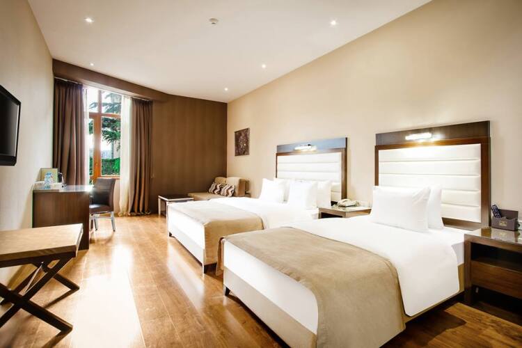 Фотография номера гостиницы Орион Тбилиси