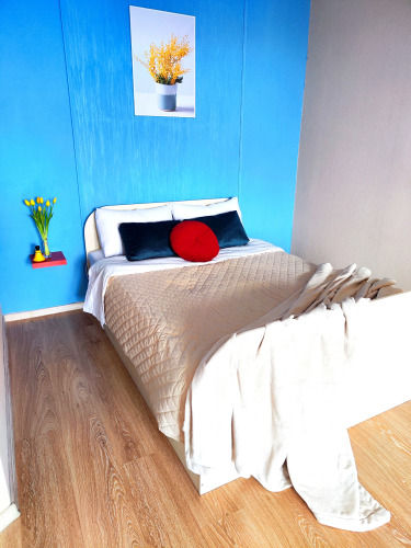 Фотография номера квартиры Апартаменты Dacha