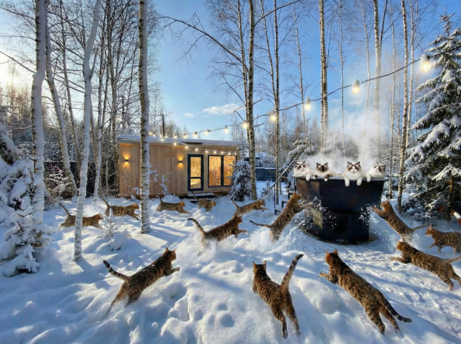 Фотография номера Коттеджа Частный дом ЕлкиШале с баней и чаном