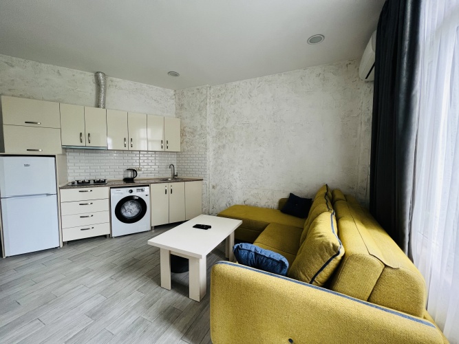 1 Bedroom Apartment with city view