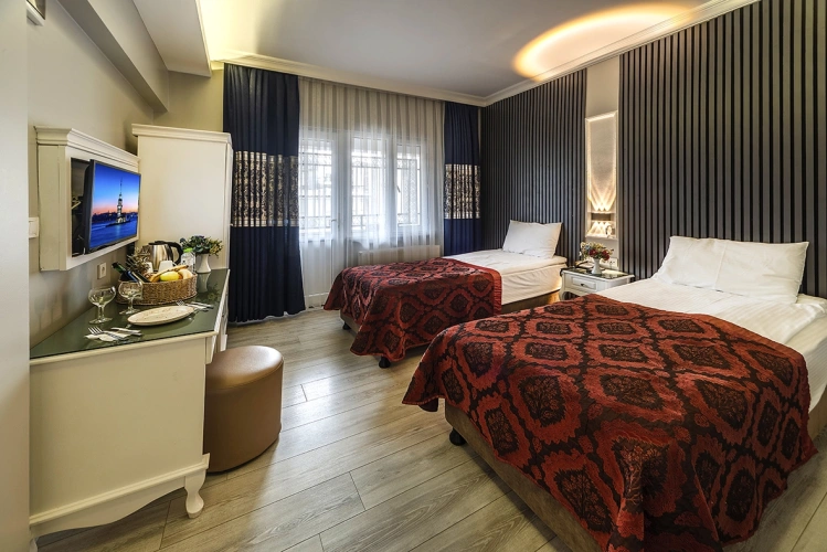 Standard Twin room with city view