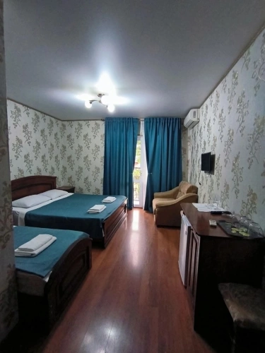 Junior Suite with balcony and with mountain view