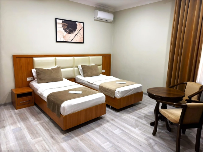Standard Twin room with view