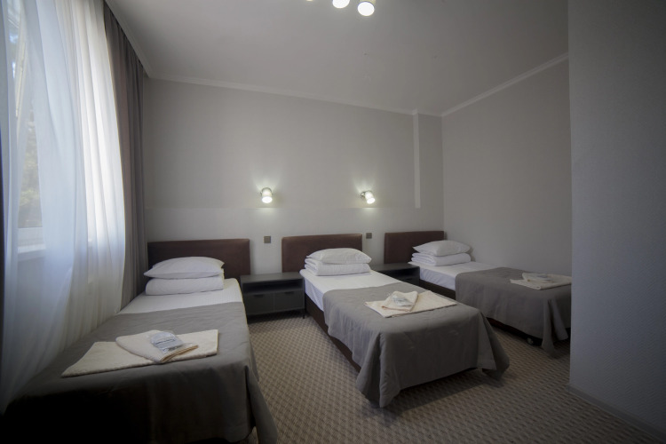 Фотография номера гостиницы Альпина