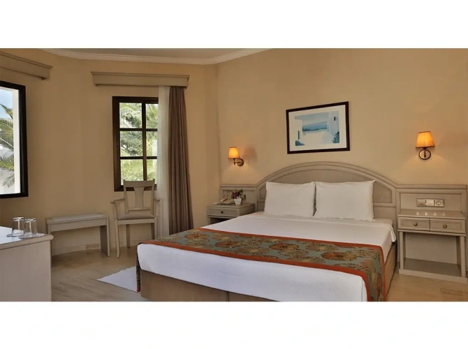 Standard Double room with view