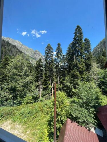 Фотография номера гостиницы Альпенхауз