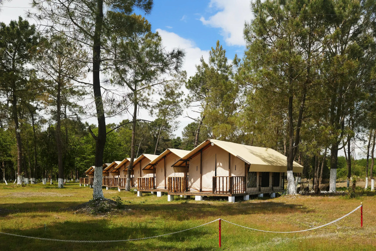 Hotsglamping Resort Hotel