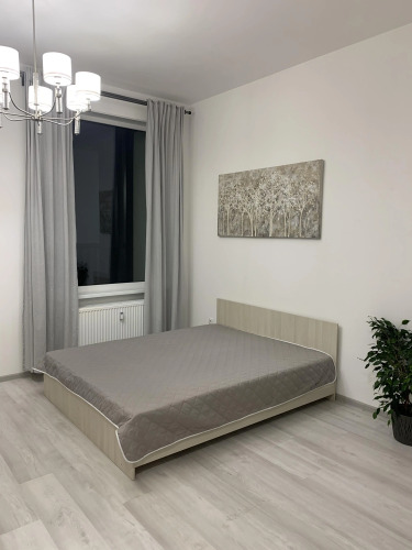 Фотография номера квартиры Апартаменты Comfort apartments