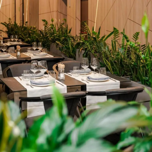 Starlight HotelOver view