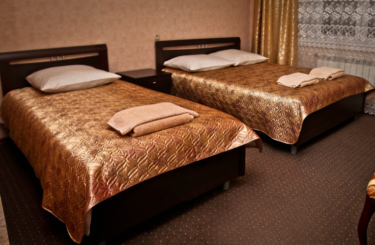 Фотография номера гостиницы Элион