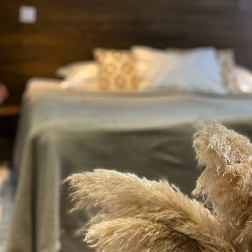 Standard Double room with balcony and with view