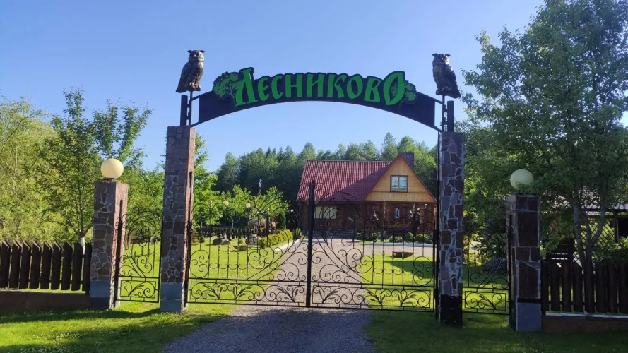 Фотография номера Коттеджа Лесниково