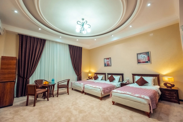 Фотография номера гостиницы Meros