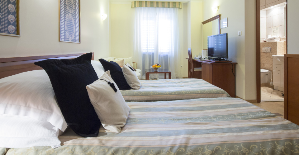 Standard Twin room with view