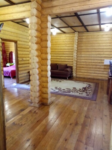 Фотография номера гостиницы Феникс