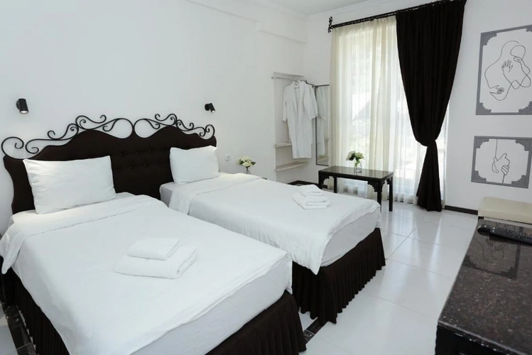 Standard Twin room with view