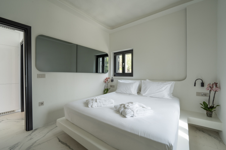 Standard Double Junior Suite with balcony and with view